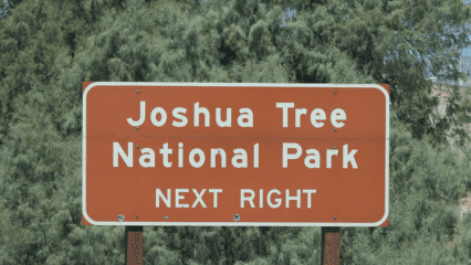 A sign says JOSHUA TREE NATIONAL PARK NEXT RIGHT