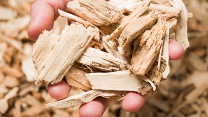 A closeup of a human hand holding wood chips while standing over a big pile of wood chips. It's intense, bro.