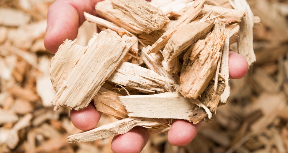 A closeup of a human hand holding wood chips while standing over a big pile of wood chips. It's intense, bro.